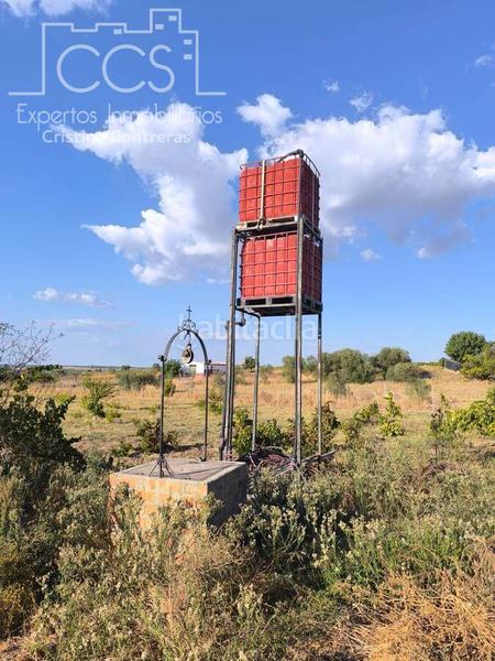 Foto 90253dd8-d35b-4274-97b8-ea868d5f7b8b. Propriété dans Almonte Almonte