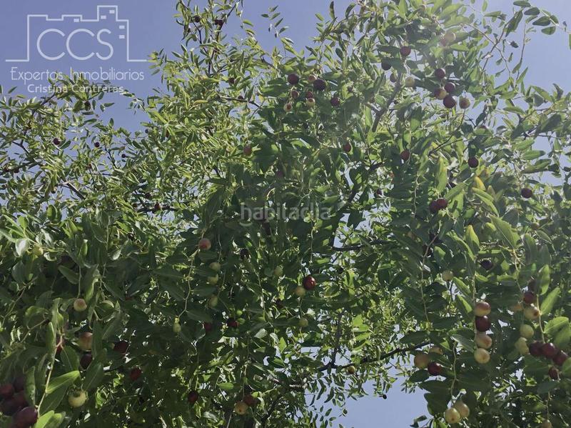 Foto d447a581-df5c-4df9-9898-46b13e23b093. Propriété dans Almonte Almonte