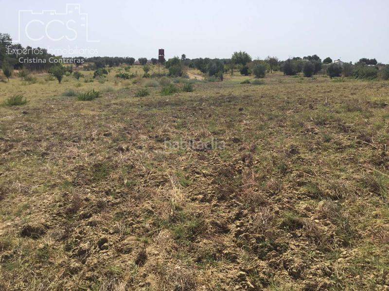 Foto e90010c6-9c75-491f-9175-4c7a8e34c75b. Propriété dans Almonte Almonte