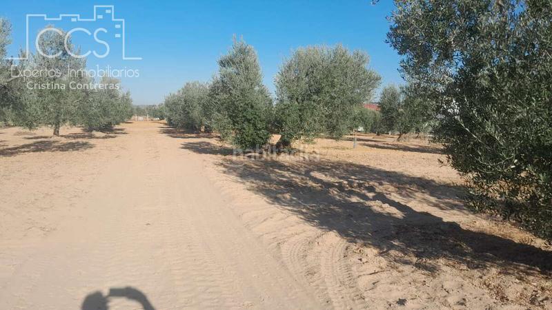 Foto 040934d7-56b9-4b50-846f-1b180330d13a. Propriété dans Almonte Almonte