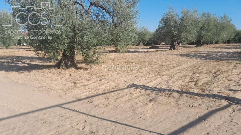 Foto 37ea288f-efac-4663-a718-9e7ada641a50. Propriété dans Almonte Almonte