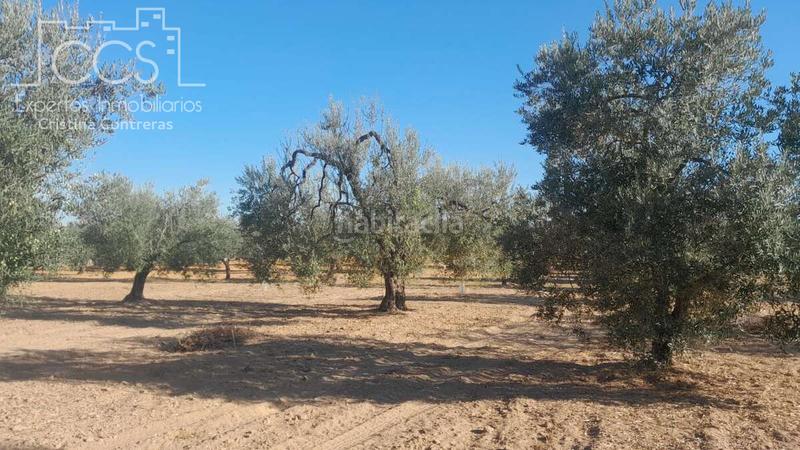 Foto 57f50fe6-fdbb-40cf-b6d8-7aa6dd84fa1d. Propriété dans Almonte Almonte