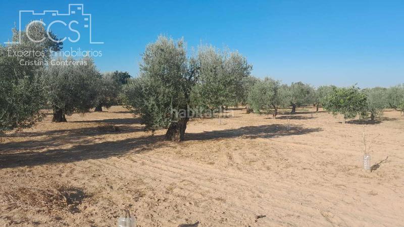 Foto 73fff405-f3f7-4e11-9936-052647ea06c8. Propriété dans Almonte Almonte