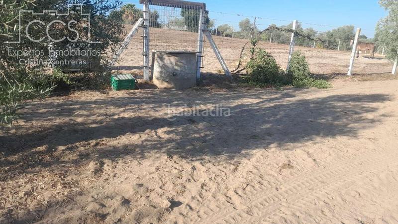 Foto 98c8ed94-f9f2-4e7d-a270-4ed1b3fcca2c. Propriété dans Almonte Almonte