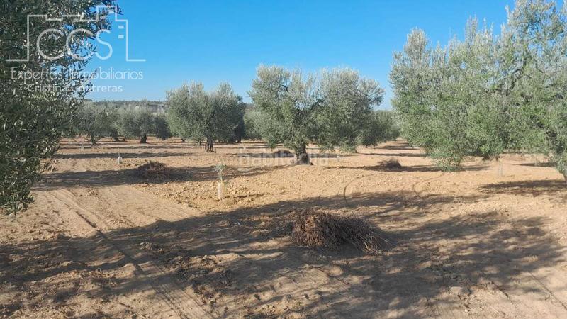 Foto b9b77a1e-2ecf-423c-89eb-ea9d99e4001e. Propriété dans Almonte Almonte