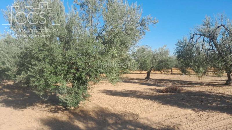 Foto bda3d69d-cd65-481f-95f4-2c266a8340b0. Propriété dans Almonte Almonte