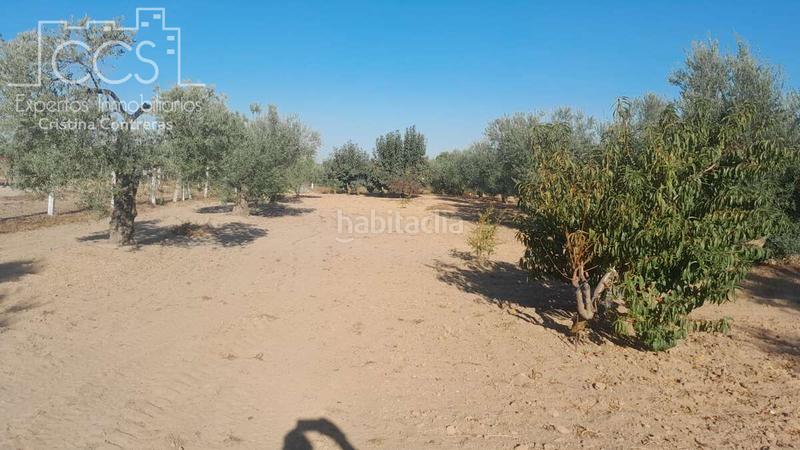 Foto bed160eb-57ca-480e-a75b-4a153956080a. Propriété dans Almonte Almonte