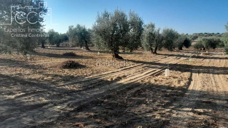 Foto c021f2f0-c387-42cc-9ca9-392e420fc4c8. Propriété dans Almonte Almonte