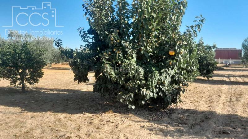 Foto cd66cb85-ad79-46bd-bf90-29ef98ab0995. Propriété dans Almonte Almonte