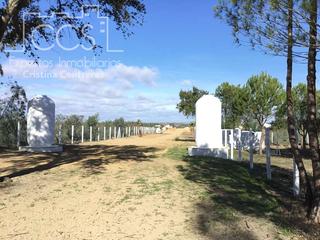 Mas à Almonte. Venta de finca en propiedad de 12.860 m2 de terreno con  tierra