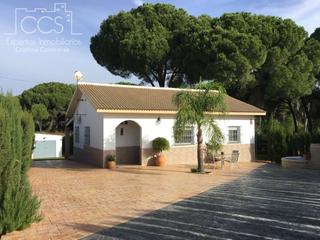 Masia a Hinojos. Venta de finca de 1.101 m2 de terreno, una vivienda de 109,78 m2