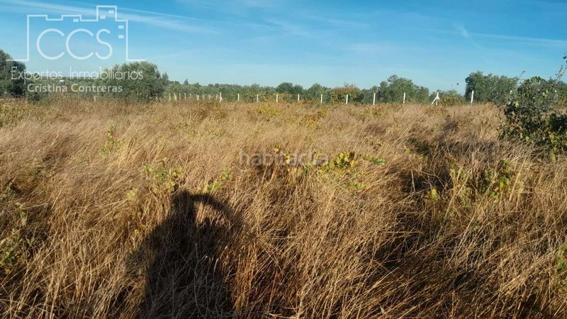 Foto 02a9ba16-d79d-4365-a782-3f33e78e202f. Finca rústica a Almonte Almonte