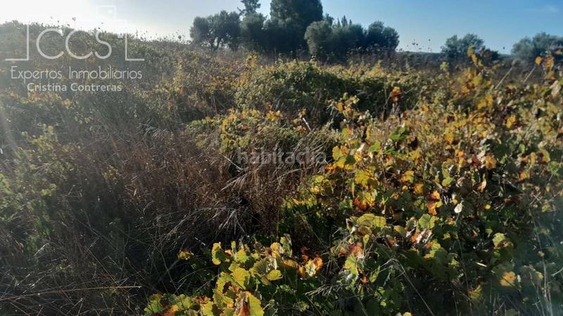 Foto 54ec6066-c56d-4ccd-889f-5931aa0579bc. Finca rústica a Almonte Almonte