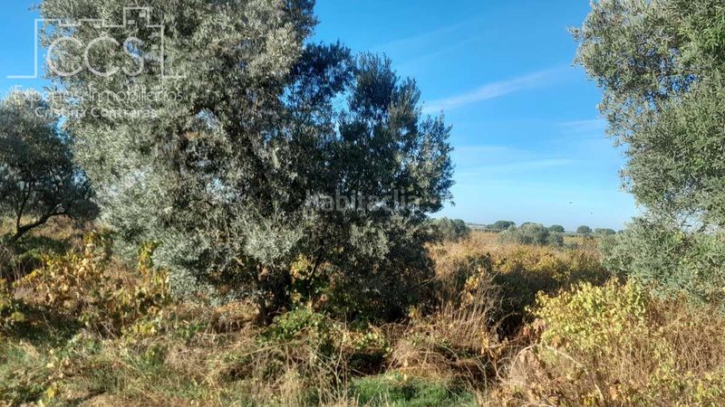 Foto 7f148e96-dfda-4c20-b652-111495aef0d1. Finca rústica a Almonte Almonte