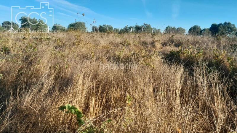 Foto 839d6772-33db-4c33-953e-e6b7c3e19a2f. Finca rústica a Almonte Almonte