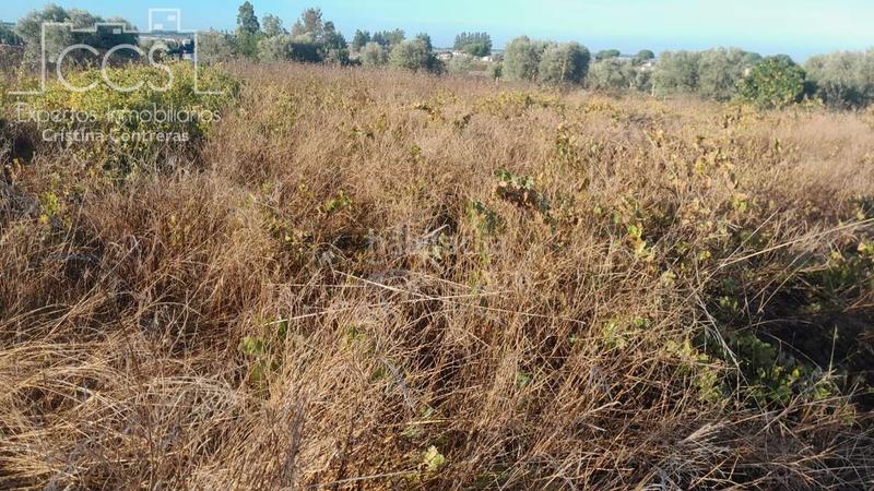 Foto 996cbe29-7789-4f16-9241-575f90e2012e. Finca rústica a Almonte Almonte