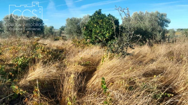 Foto eb34c7cd-5608-4f8c-b06d-03cb26304721. Finca rústica a Almonte Almonte