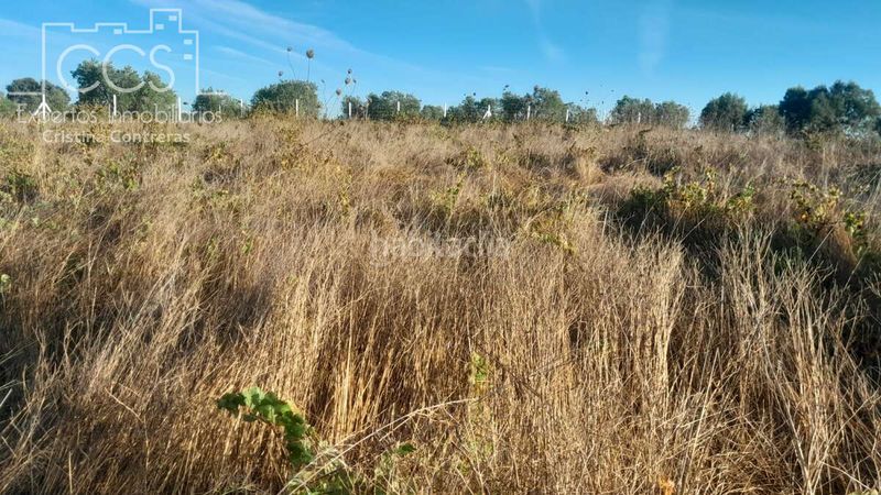 Foto ec673bda-d970-433f-854b-6ecfee9b51bb. Finca rústica a Almonte Almonte