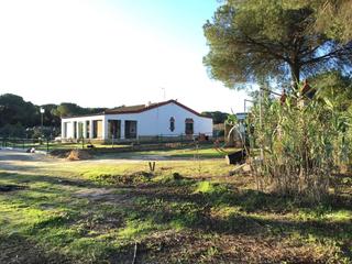 Masia a Almonte. Venta de finca en concesión de 2.400 m2 de terreno, luz eléctric