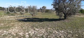 Casale in Almonte. Venta de finca en concesión de 14.900m2 de terreno y casa de ape