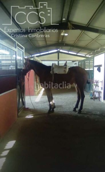 Foto 4a3c3e10-7d17-4a7a-8abd-b3824018e3e8. Masia a Pilas