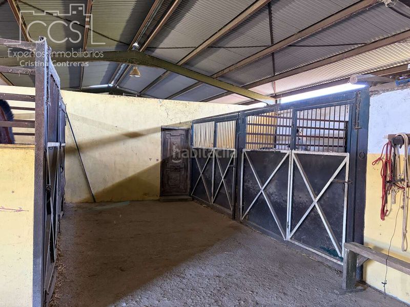 Foto dab759df-b467-4cef-86b8-272dd23c6c1b. Masia a Pilas