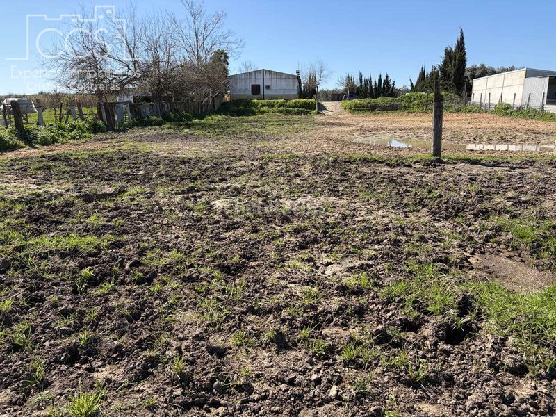 Foto ec3dff24-b9f1-4265-81fd-56ff64b384cc. Masia a Pilas
