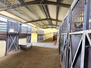 Casale in Pilas. Venta de finca de 3.029 m2 de terreno para caballos, luz, pozo l