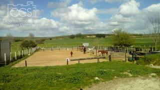 Masia a Pilas. Venta de finca de 3.029 m2 de terreno para caballos, luz, pozo l