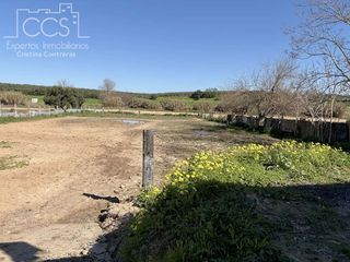 Country house in Pilas. Venta y alquiler de finca de 3.029 m2 de terreno para caballos,