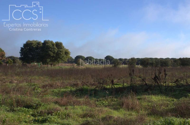Foto e8a3cf19-30f3-4d1b-8644-ee55bec74198. Finca rústica a Almonte Almonte