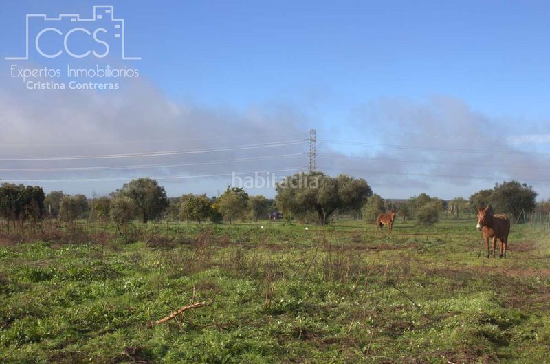 Foto 1d55458e-61aa-4488-a4e4-38544809a53b. Finca rústica a Almonte Almonte