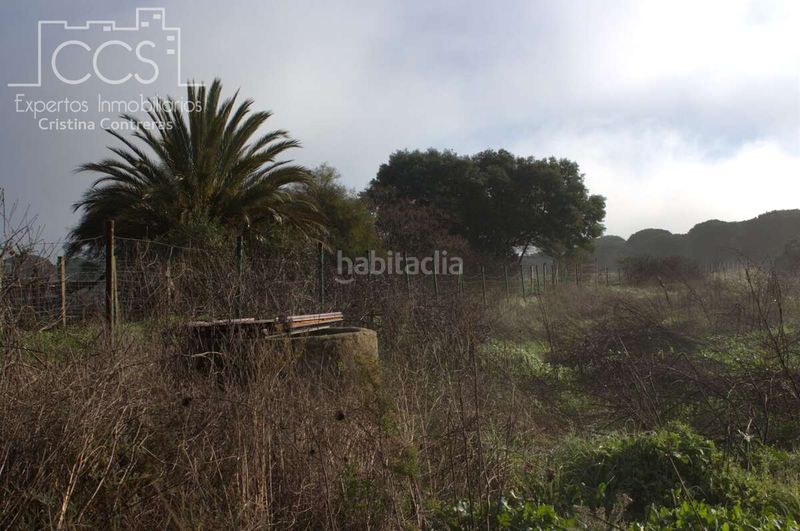 Foto 712fc4b3-b3d2-42de-a5f8-6e30099b6c8d. Finca rústica a Almonte Almonte