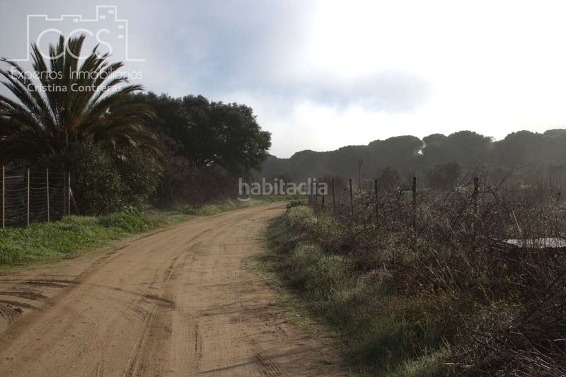 Foto a9455907-19e0-4aee-9a28-c34a3a83d104. Finca rústica a Almonte Almonte