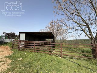 Country house in Pilas. Venta de finca de 39.764 m2 de terreno, con pozos legalizados, u