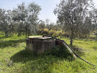 Country house in Pilas. Venta de finca de 39.764 m2 de terreno, con pozos legalizados, u