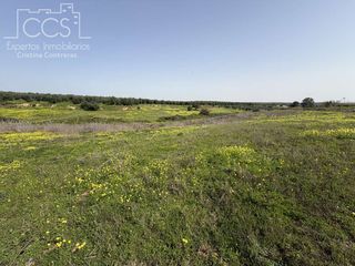 Country house in Pilas. Venta de finca de 39.764 m2 de terreno, con pozos legalizados, u