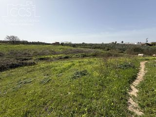 Casale in Pilas. Venta de finca de 39.764 m2 de terreno, con pozos legalizados, u