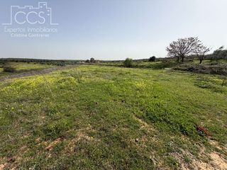 Masia a Pilas. Venta de finca de 39.764 m2 de terreno, con pozos legalizados, u