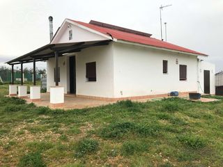 Bauernhof in Almonte. Venta de finca en concesión de 1ha de terreno y caseta de aperos