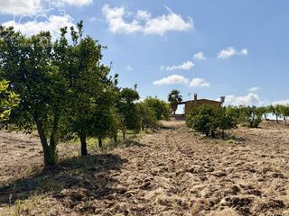 Casale in Almonte. Venta de finca en propiedad de 15.907 m2 de terreno con casa de