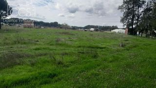Rural plot in Almonte. Venta de finca en concesión de 5.000m2 de terreno y con una cons