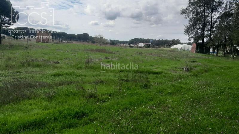 Foto 136eb943-3e81-4675-afe4-8acc3fcd1a8f. Finca rústica a Almonte Almonte