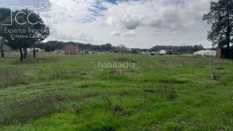 Foto 64175a1f-5864-49f7-ac74-8fc7c902ec6a. Finca rústica a Almonte Almonte