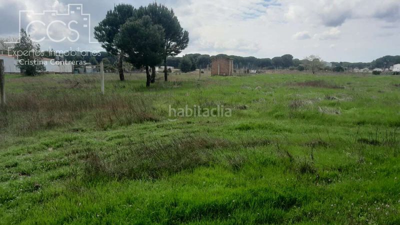 Foto bdb10de4-db78-478f-b741-2c392b4bc82c. Finca rústica a Almonte Almonte
