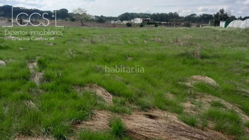Foto beac6921-cfa1-466b-b536-b215777252cc. Finca rústica a Almonte Almonte