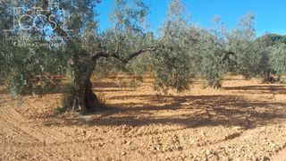 Finca rústica a Almonte