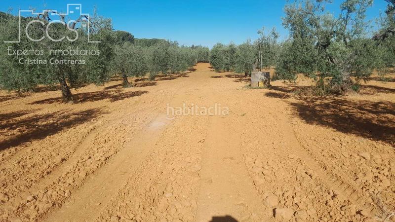 Foto 6da20a1f-5b04-470b-8859-7d43ea5e1969. Finca rústica a Almonte Almonte