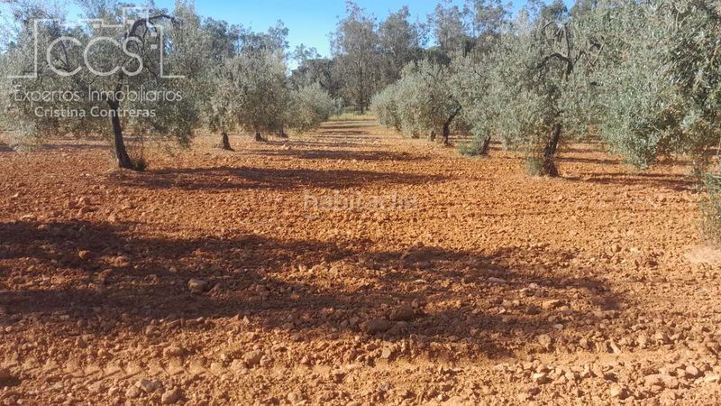 Foto fb11f5a5-0978-40b6-98f4-0a2cf23cb7e0. Finca rústica a Almonte Almonte