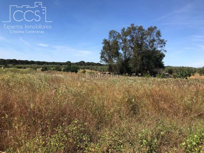 Foto d97a3f87-59cd-48eb-ae80-694307c11d3c. Finca rústica a Almonte Almonte